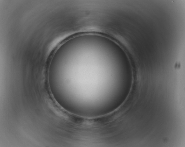 X0000113231364200909171529
