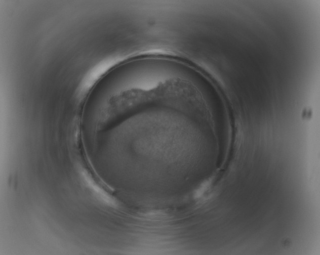X0000113231367200909171529