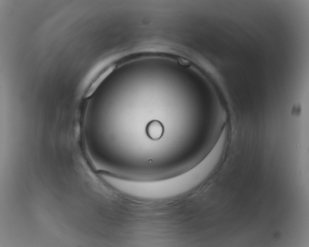 X0000113231368200909171529