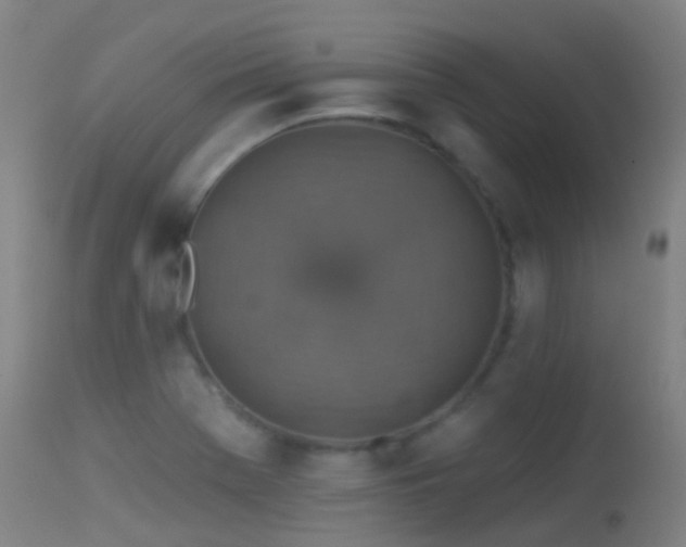 X0000113231369200909171529