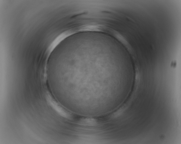 X0000113231370200909171529
