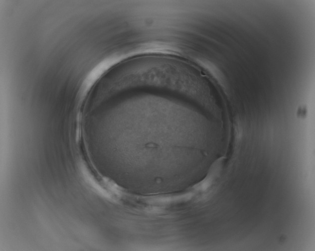 X0000113231371200909171529
