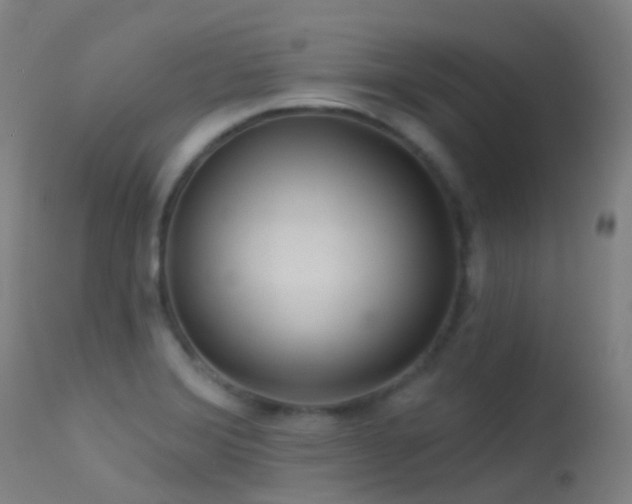 X0000113231372200909171529