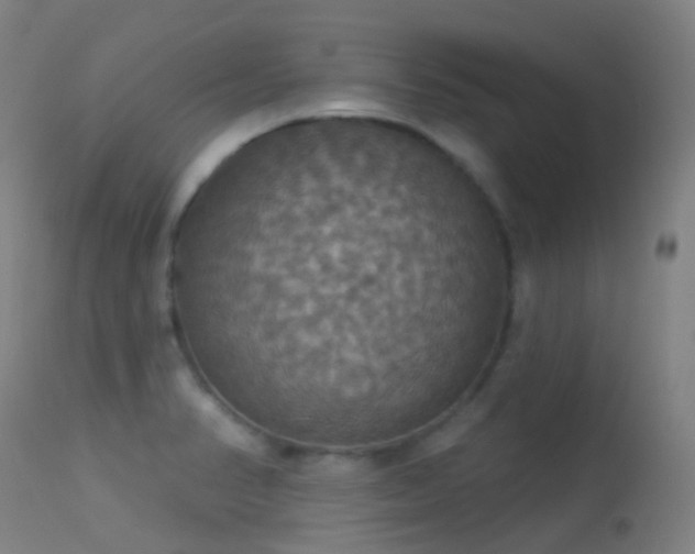 X0000113231374200909171529