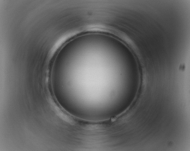 X0000113231376200909171529
