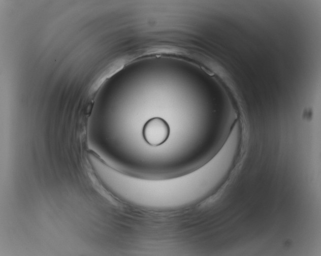 X0000113231377200909171529