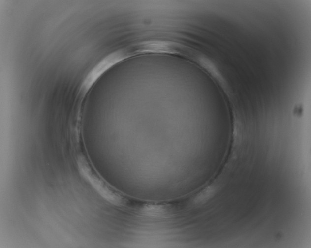 X0000113231378200909171529