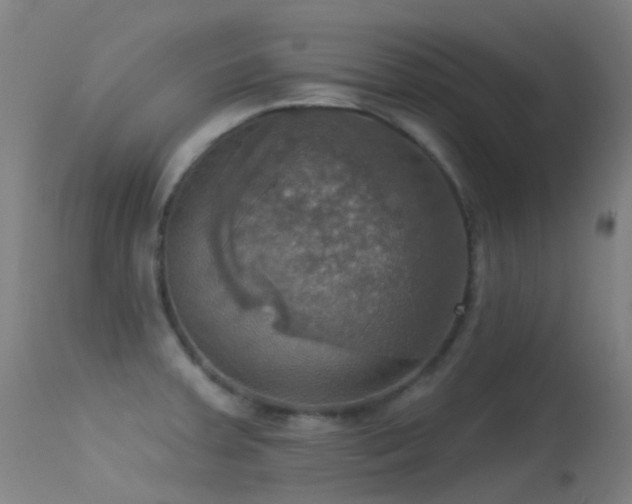 X0000113231379200909171529