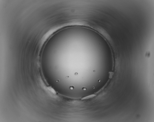 X0000113231380200909171529