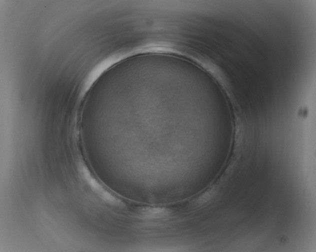 X0000113231382200909171529