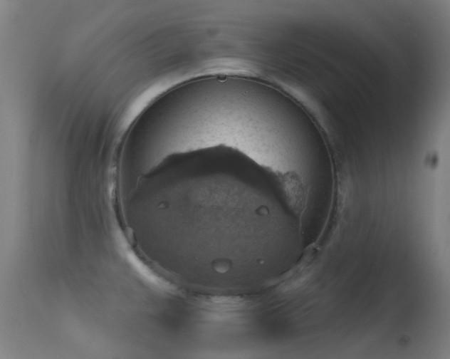 X0000113231383200909171529