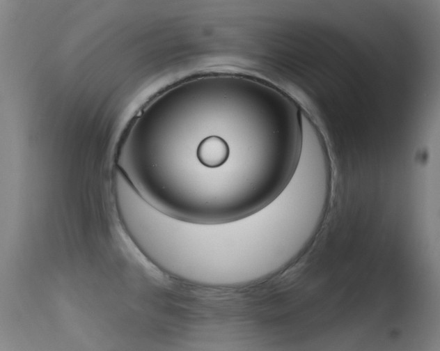 X0000113231384200909171529