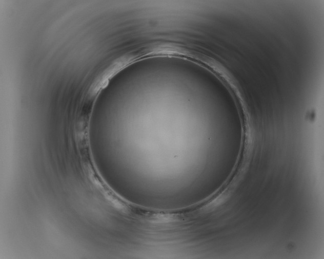 X0000113231385200909171529