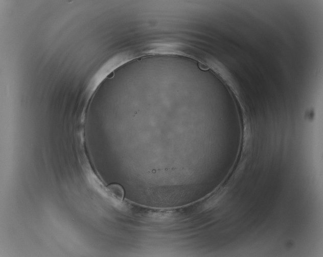 X0000113231386200909171529