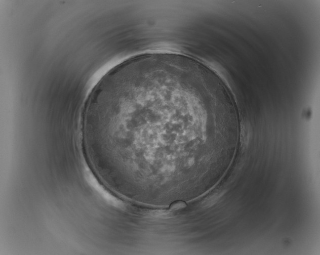 X0000113231387200909171529