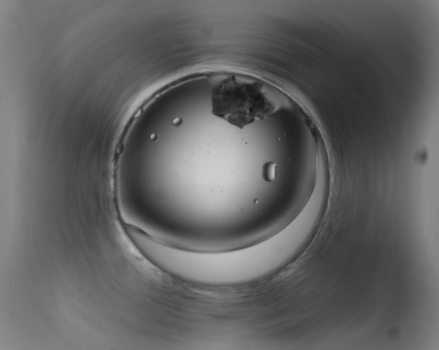 X0000113231388200909171529