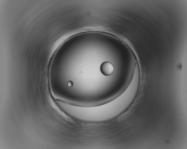X0000113231389200909171529