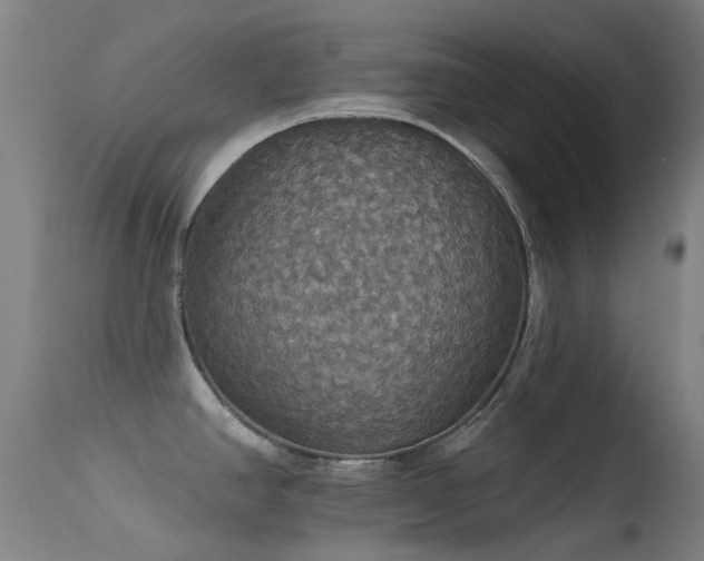 X0000113231390200909171529
