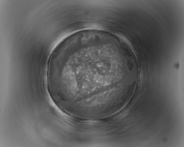 X0000113231391200909171529