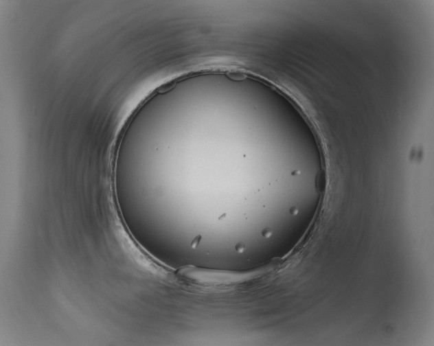 X0000113231392200909171529