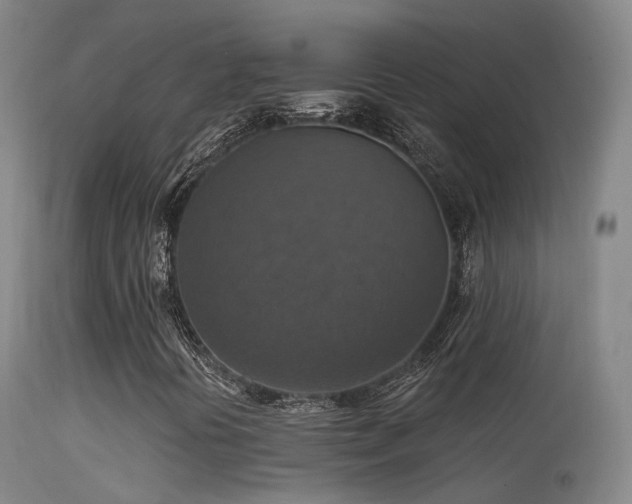 X0000113231394200909171528