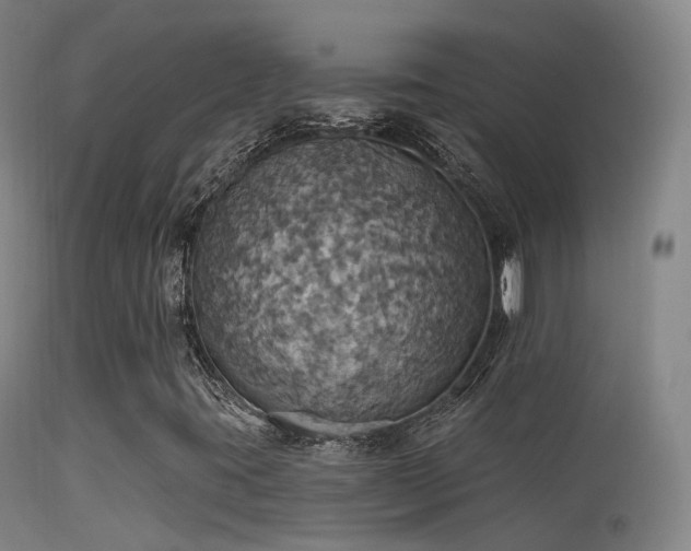 X0000113231395200909171528