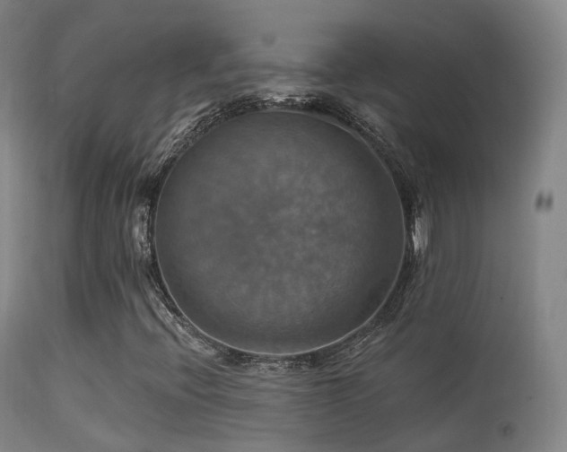 X0000113231396200909171528