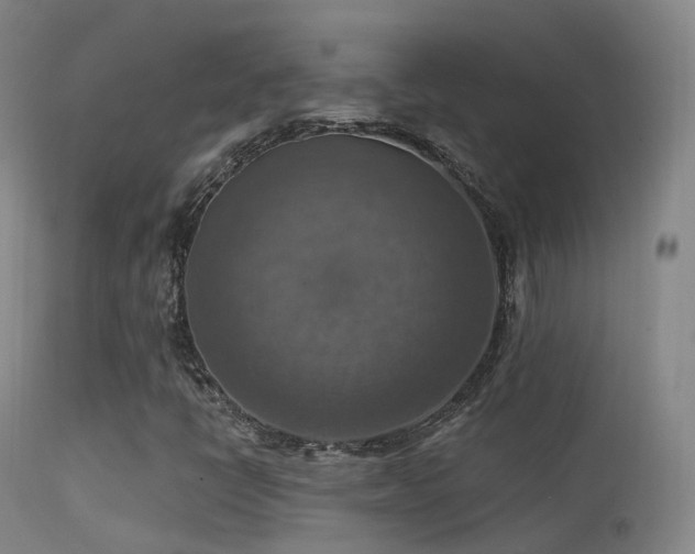 X0000113231398200909171528