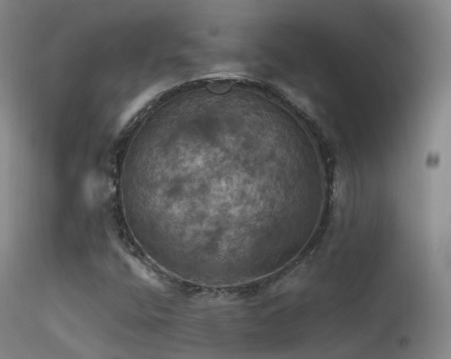 X0000113231400200909171528