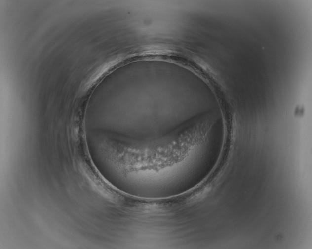 X0000113231401200909171528