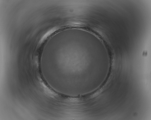 X0000113231402200909171528