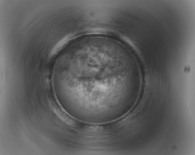 X0000113231403200909171528