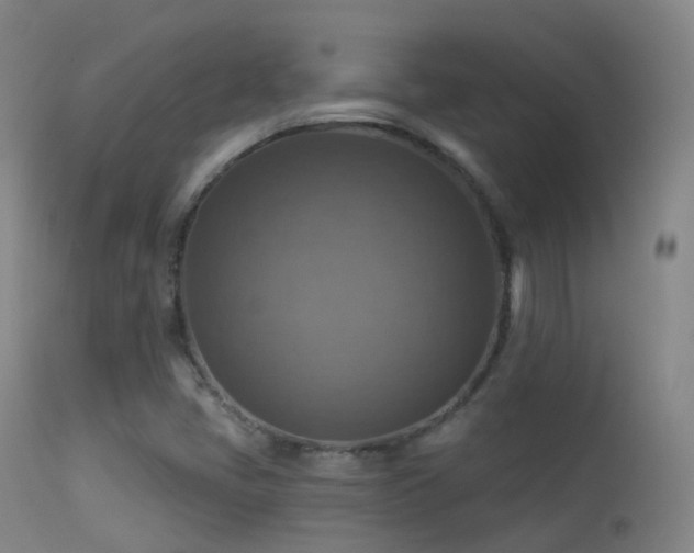 X0000113231405200909171528