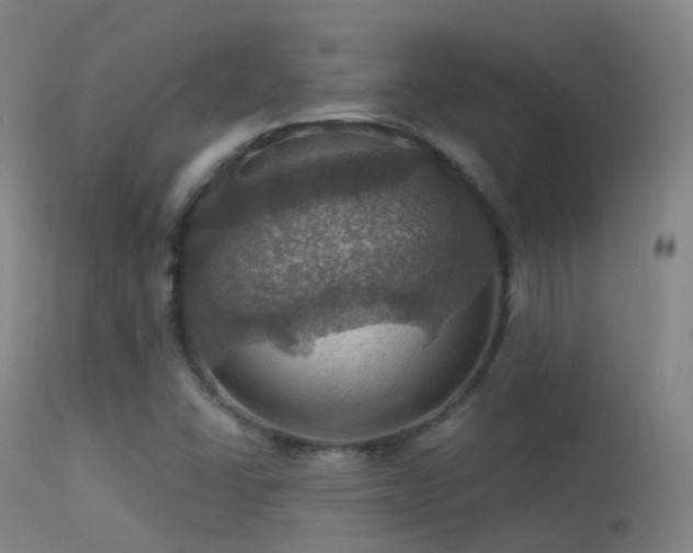 X0000113231406200909171528