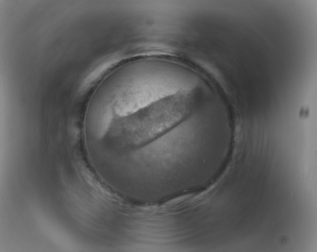 X0000113231407200909171528