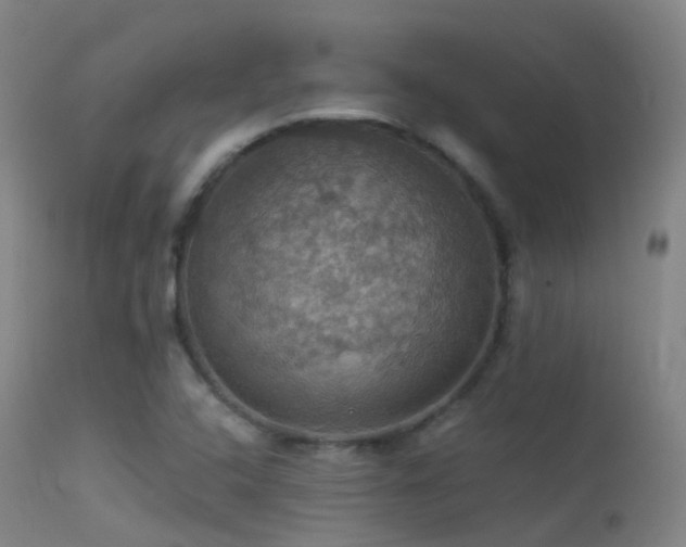 X0000113231408200909171528