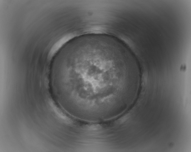 X0000113231410200909171528