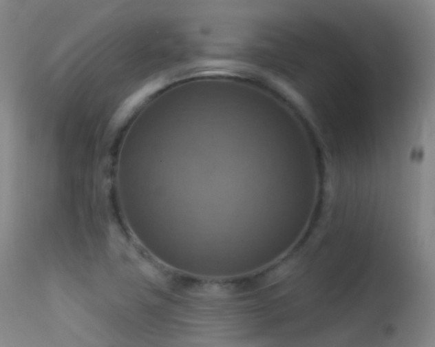 X0000113231411200909171528