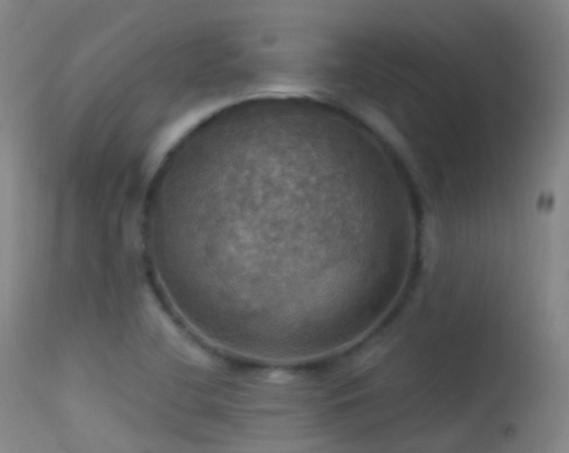 X0000113231412200909171528