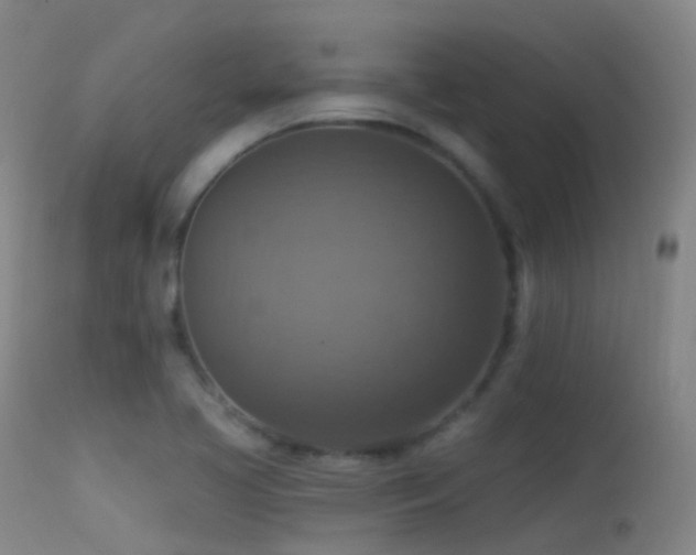 X0000113231413200909171528