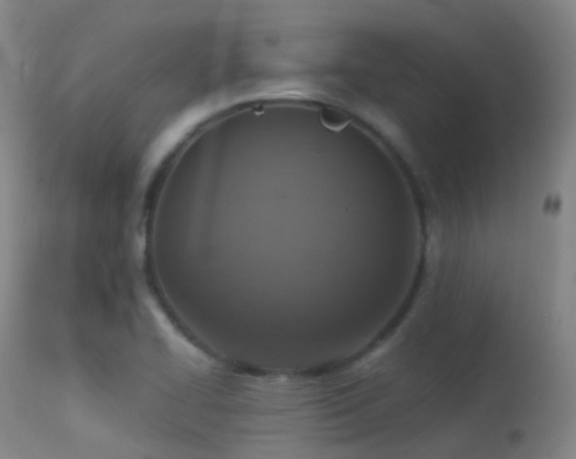 X0000113231414200909171528