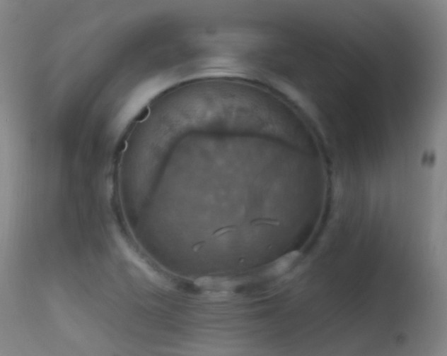 X0000113231415200909171528