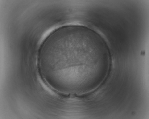 X0000113231416200909171528