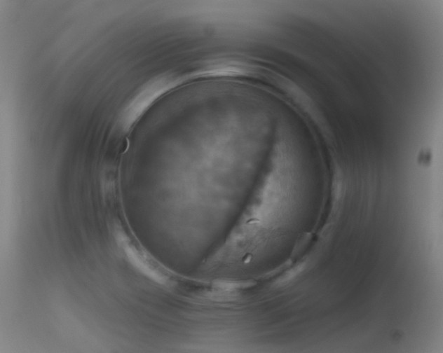 X0000113231417200909171528