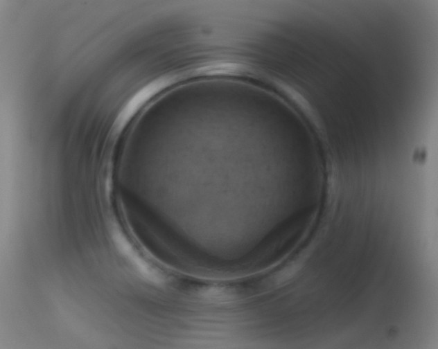 X0000113231418200909171528