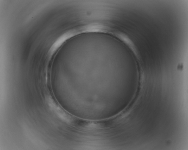 X0000113231419200909171528