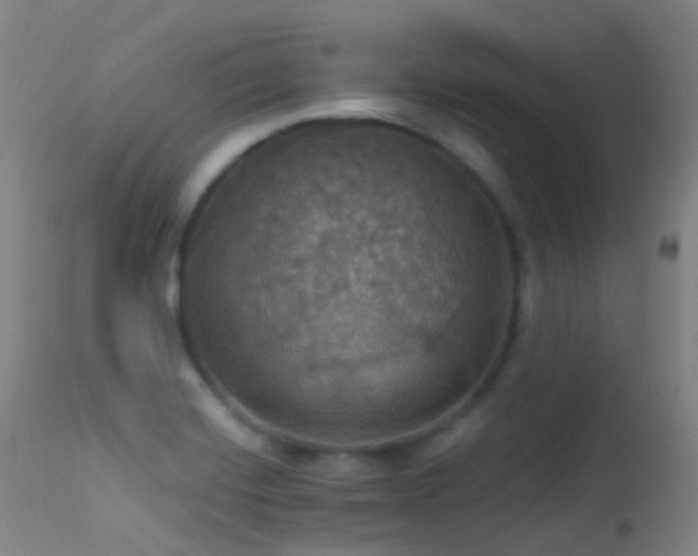 X0000113231420200909171528