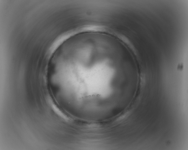 X0000113231421200909171528