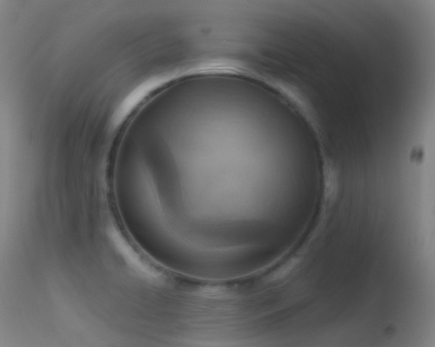 X0000113231422200909171528