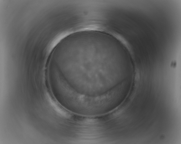 X0000113231423200909171528